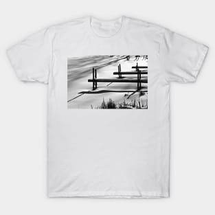 Dockside (b&w) T-Shirt